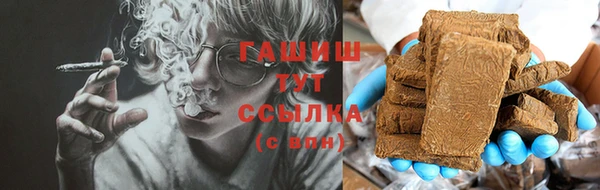 гашик Новодвинск