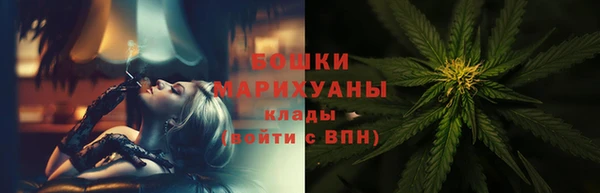 гашик Новодвинск